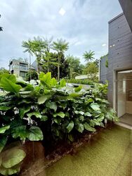 Mont Timah (D21), Terrace #483623571
